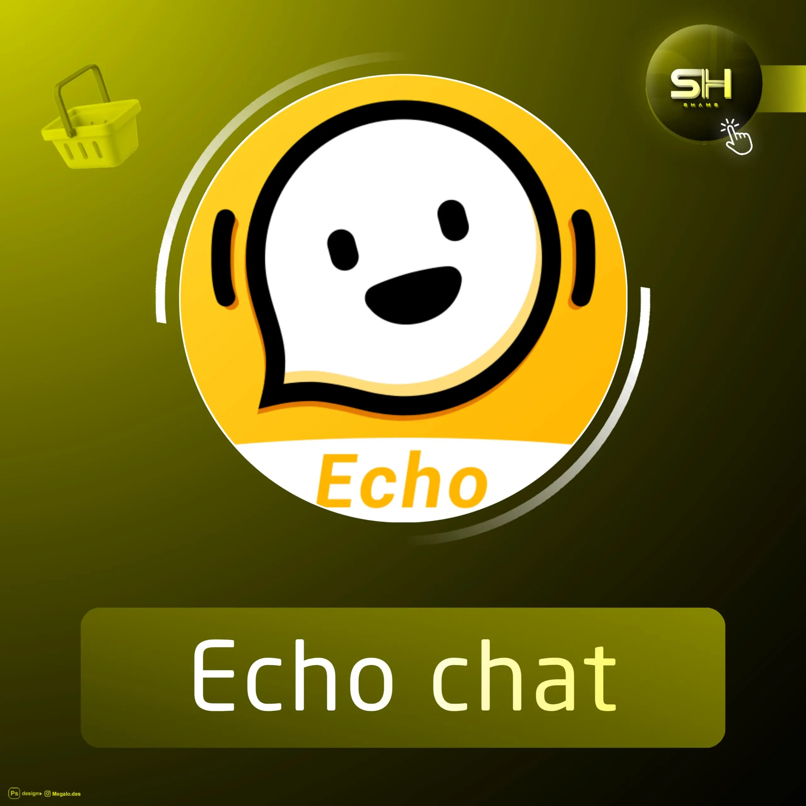 Echo chat