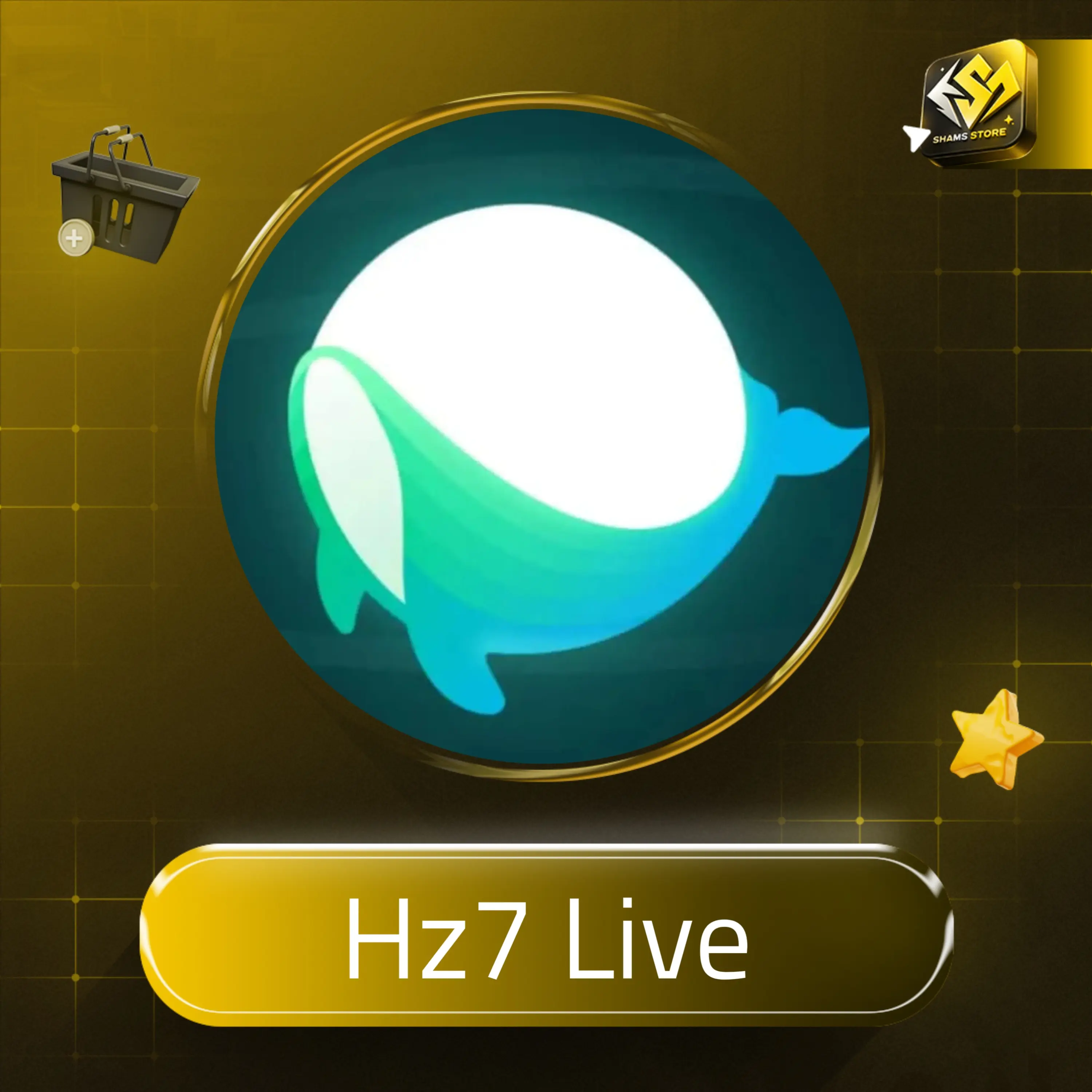 Hz7 Live