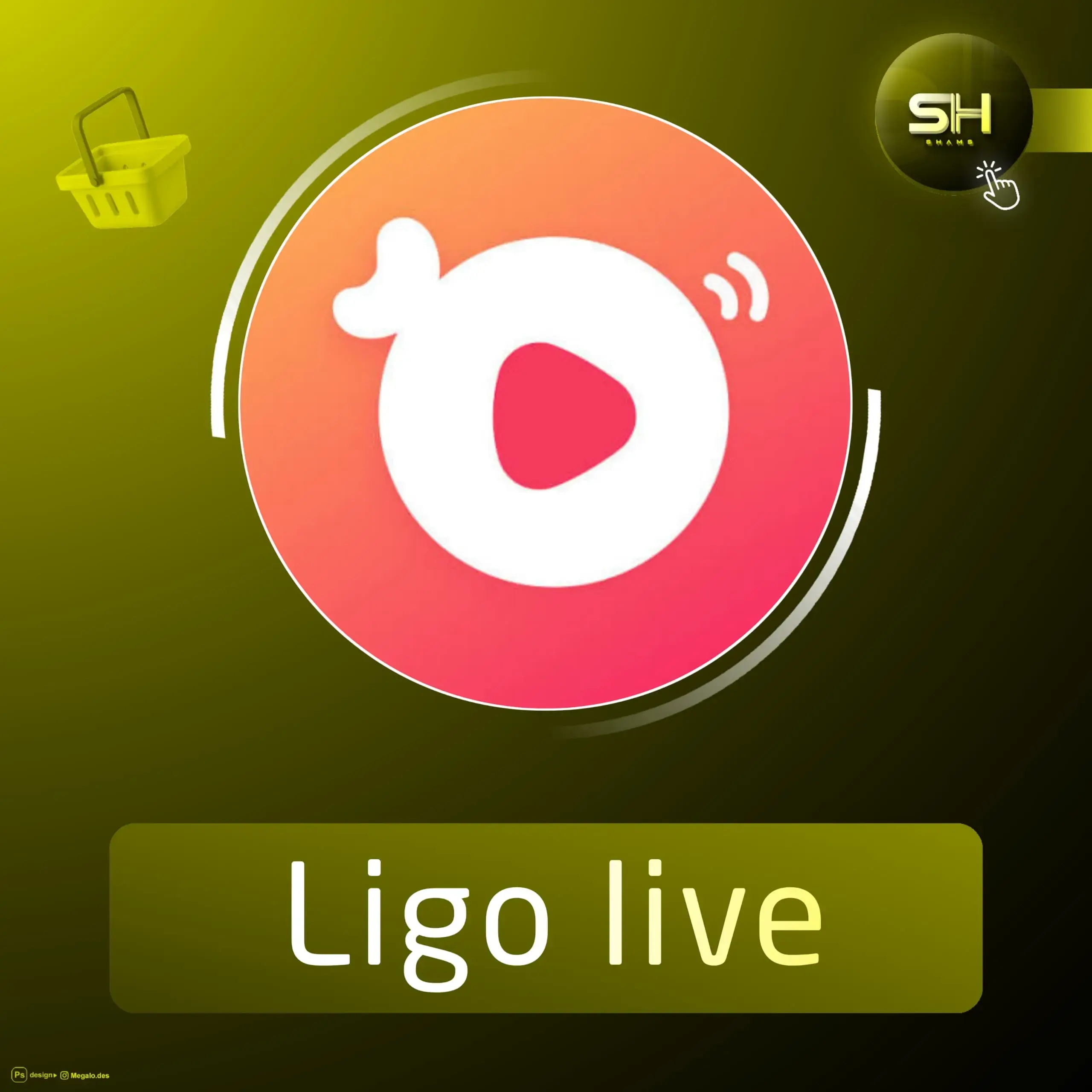 Ligo live سيرفر 2