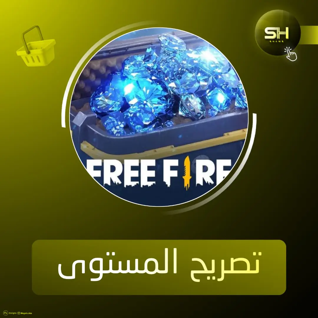 حزمة المستوى 6