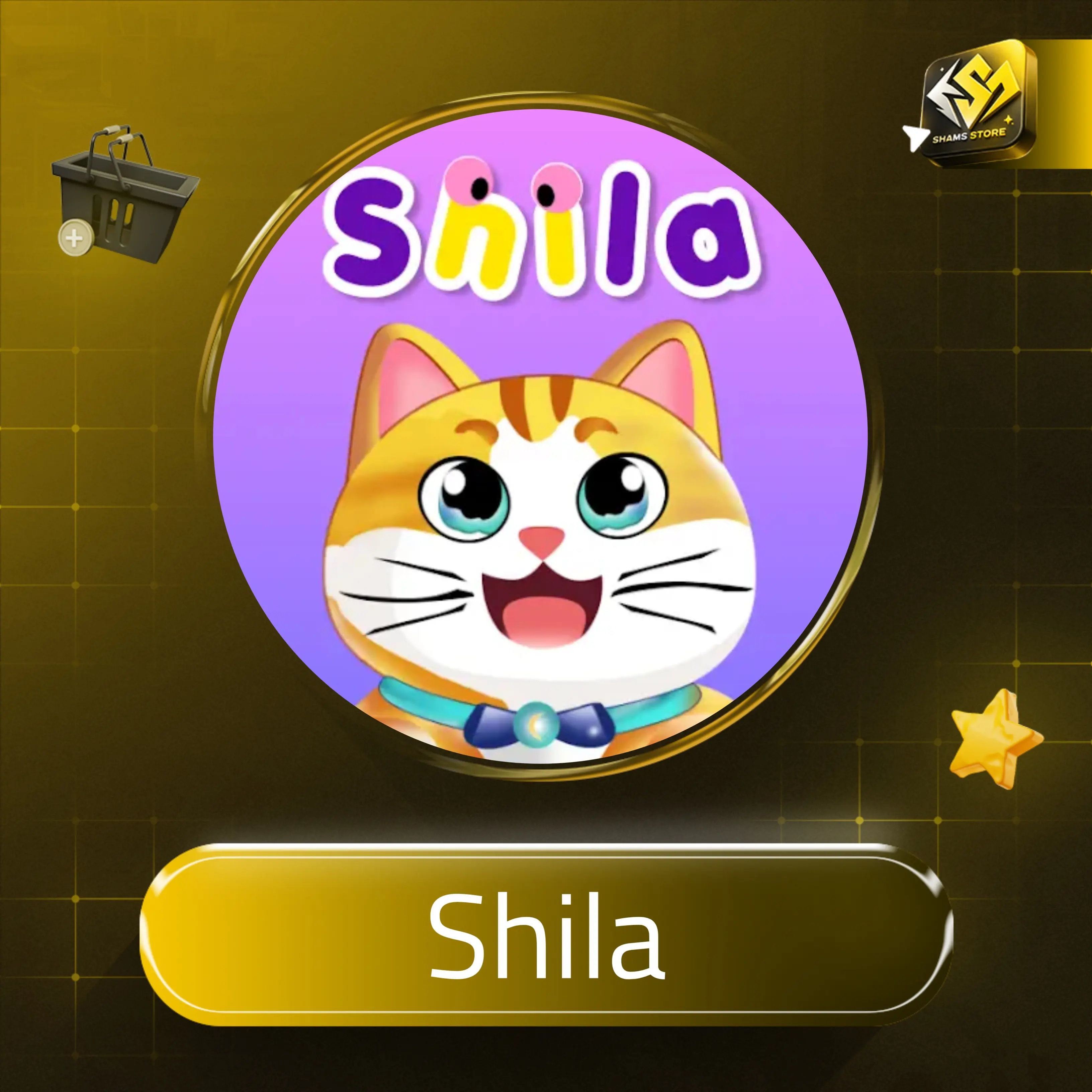 Shila سيرفر 1