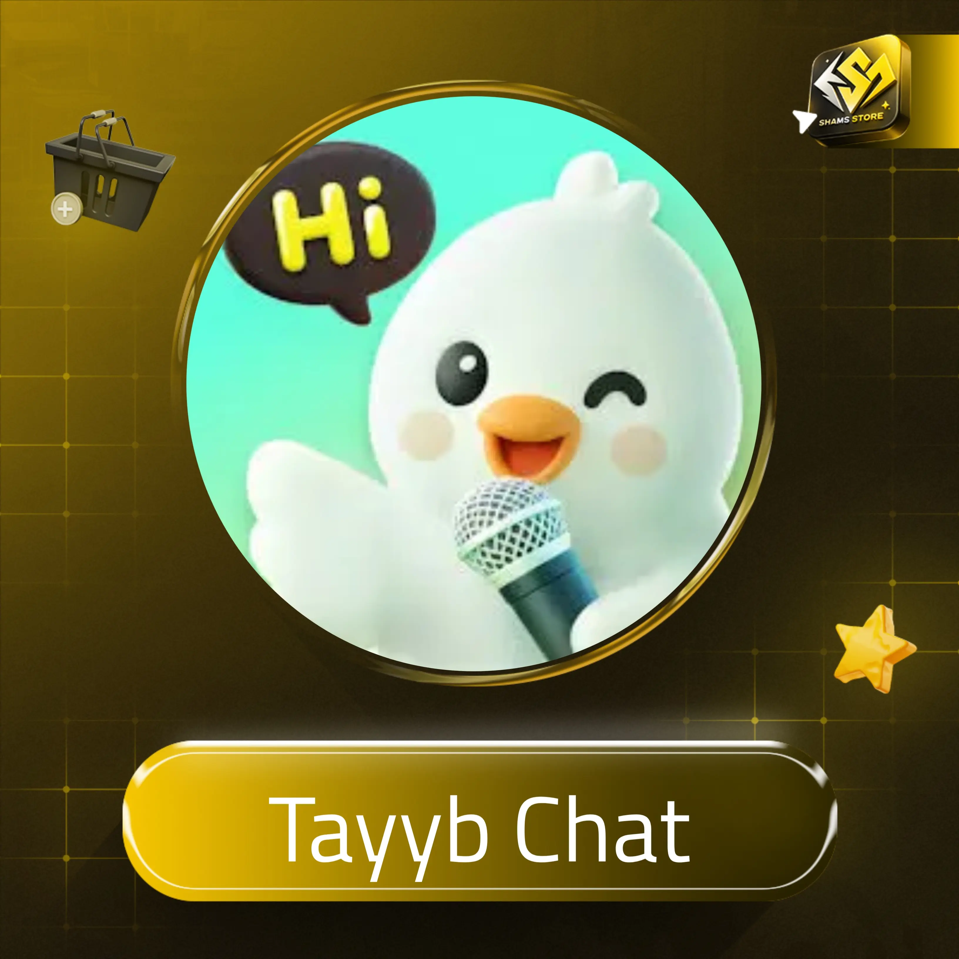 Tayyb Chat سيرفر 2
