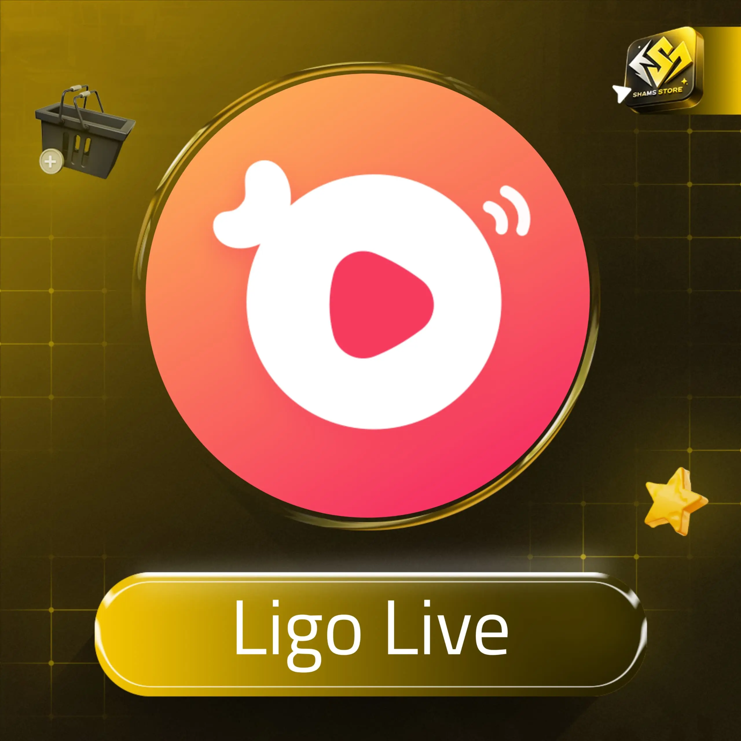 Ligo Live سيرفر 1