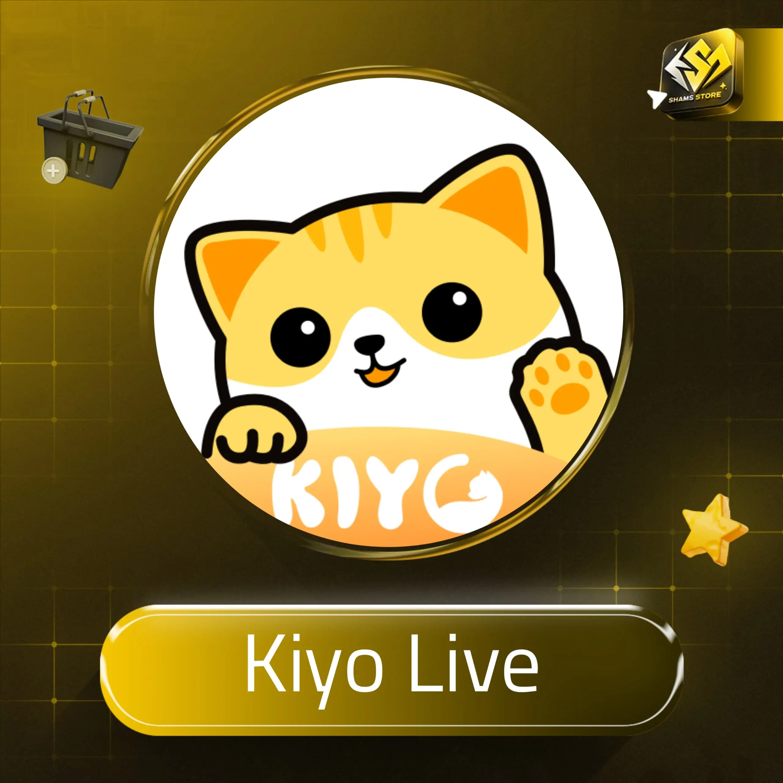Kiyo Live سيرفر 1