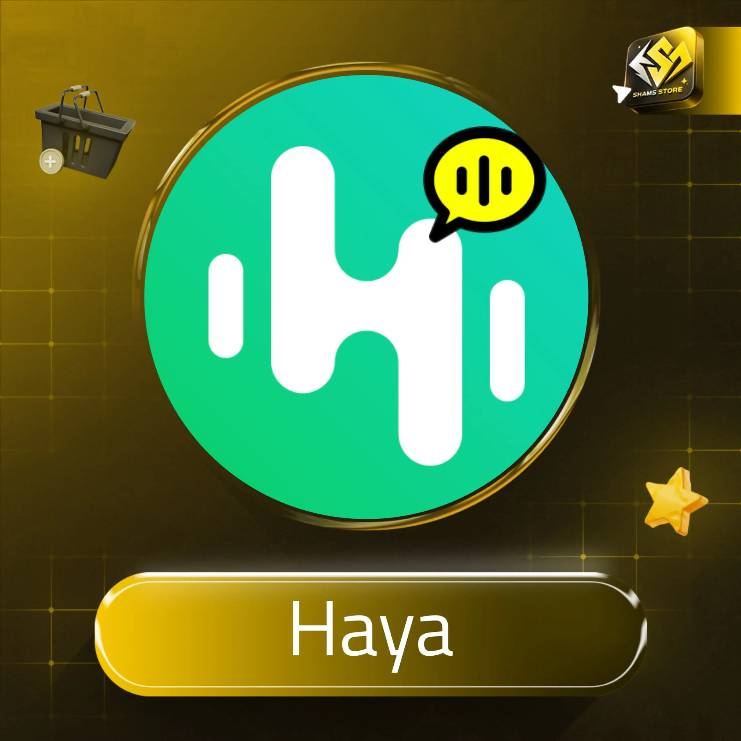 Haya سيرفر 1