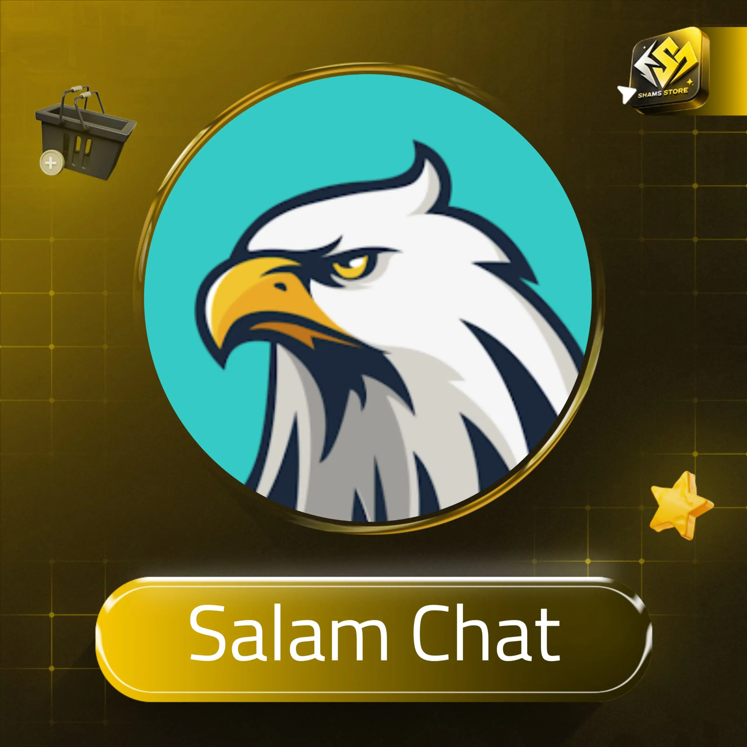 Salam Chat سيرفر 1