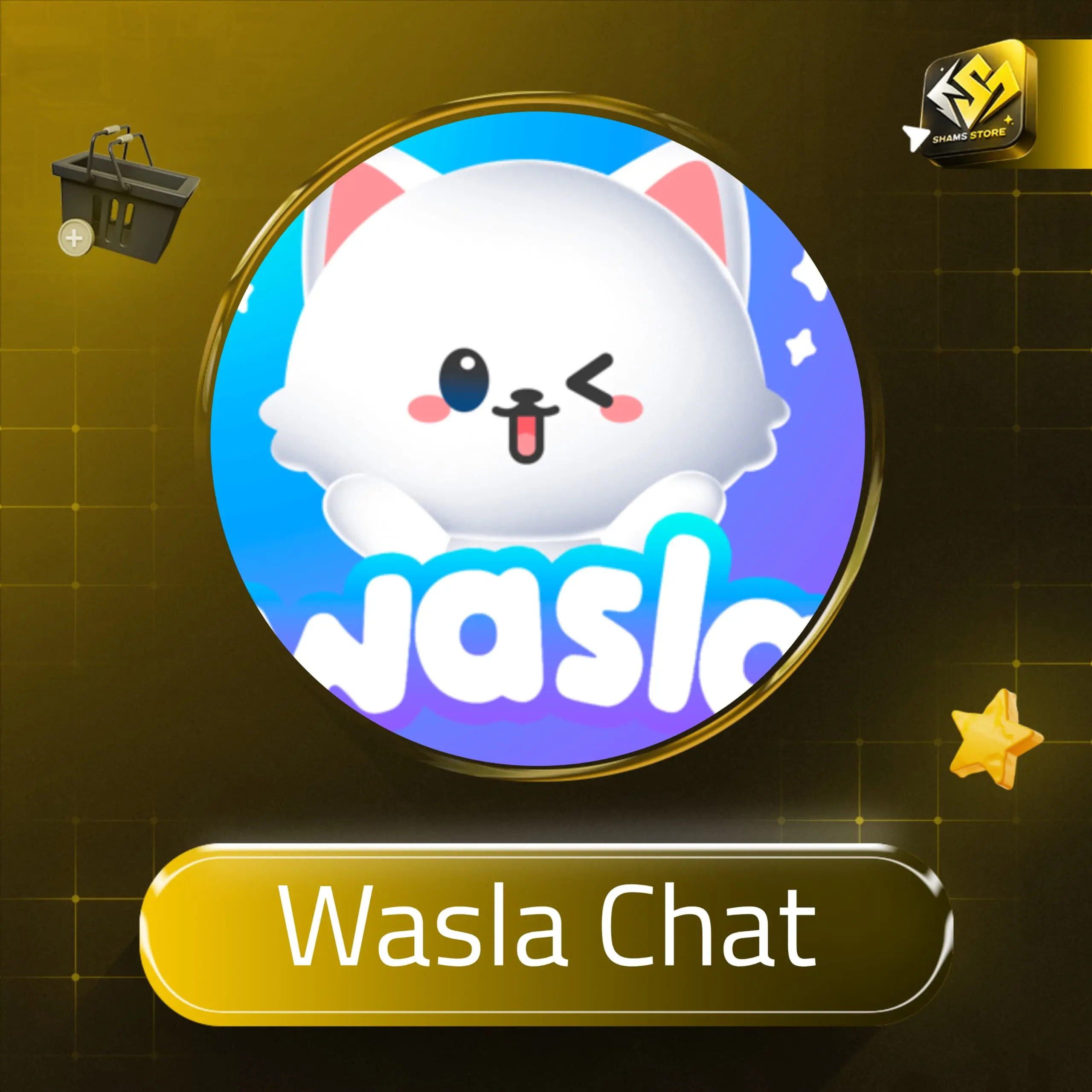 Wasla سيرفر 1
