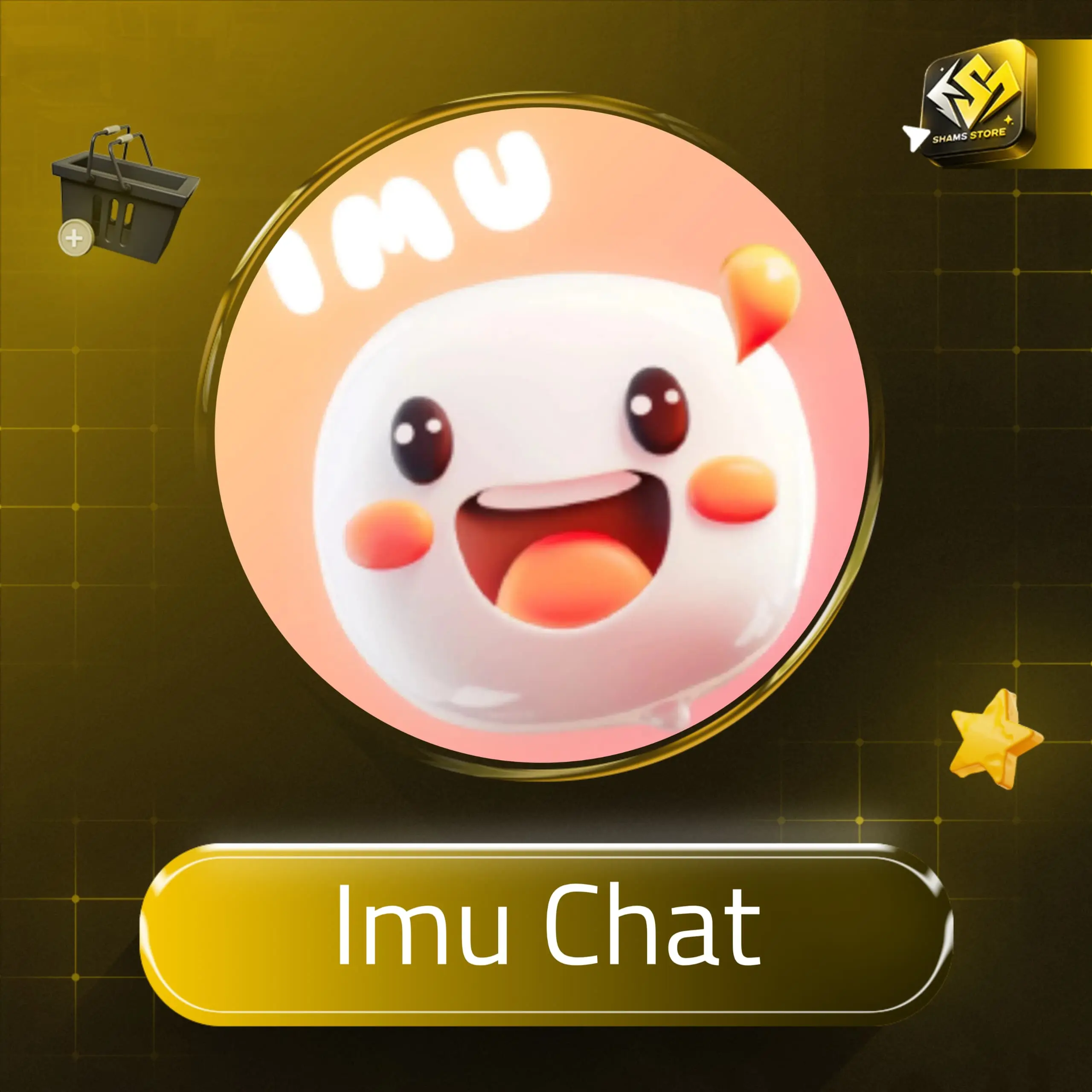 Imu سيرفر 1