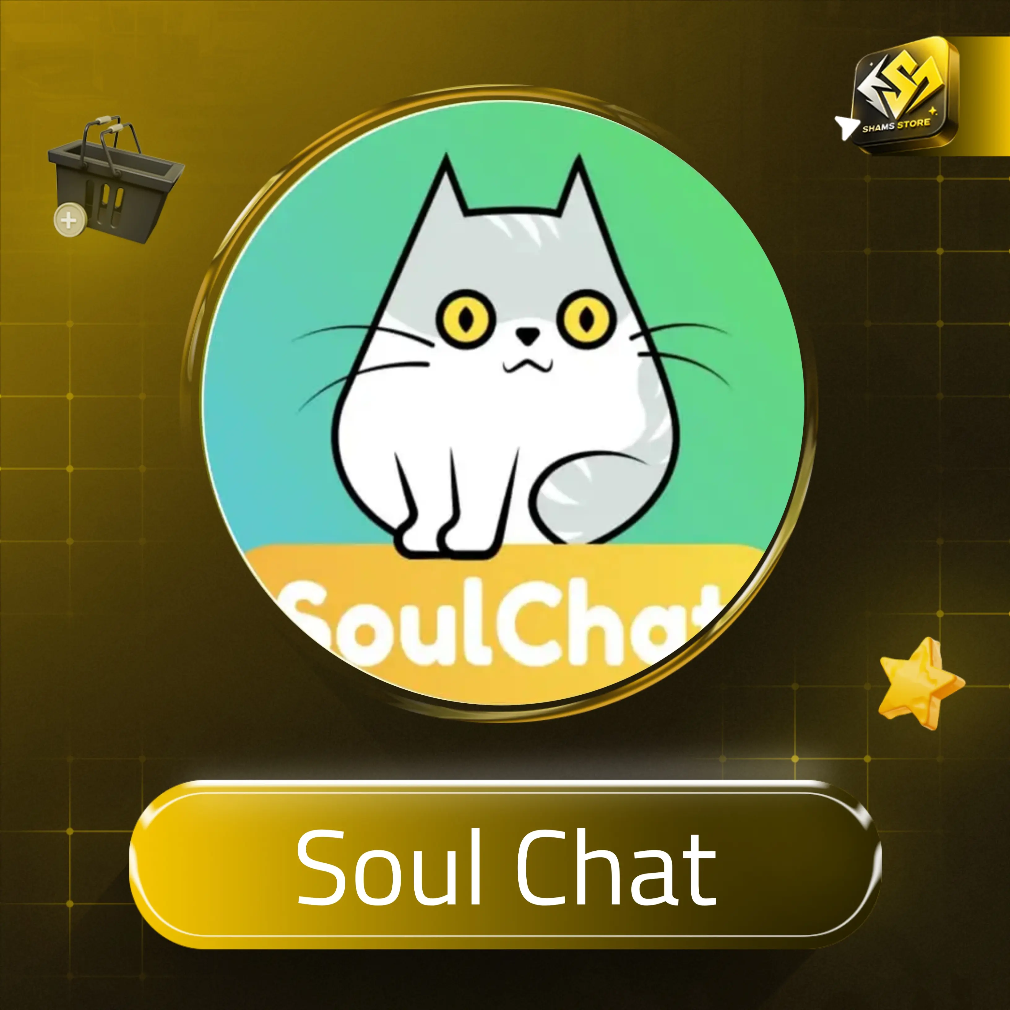 Soul chat سيرفر 1