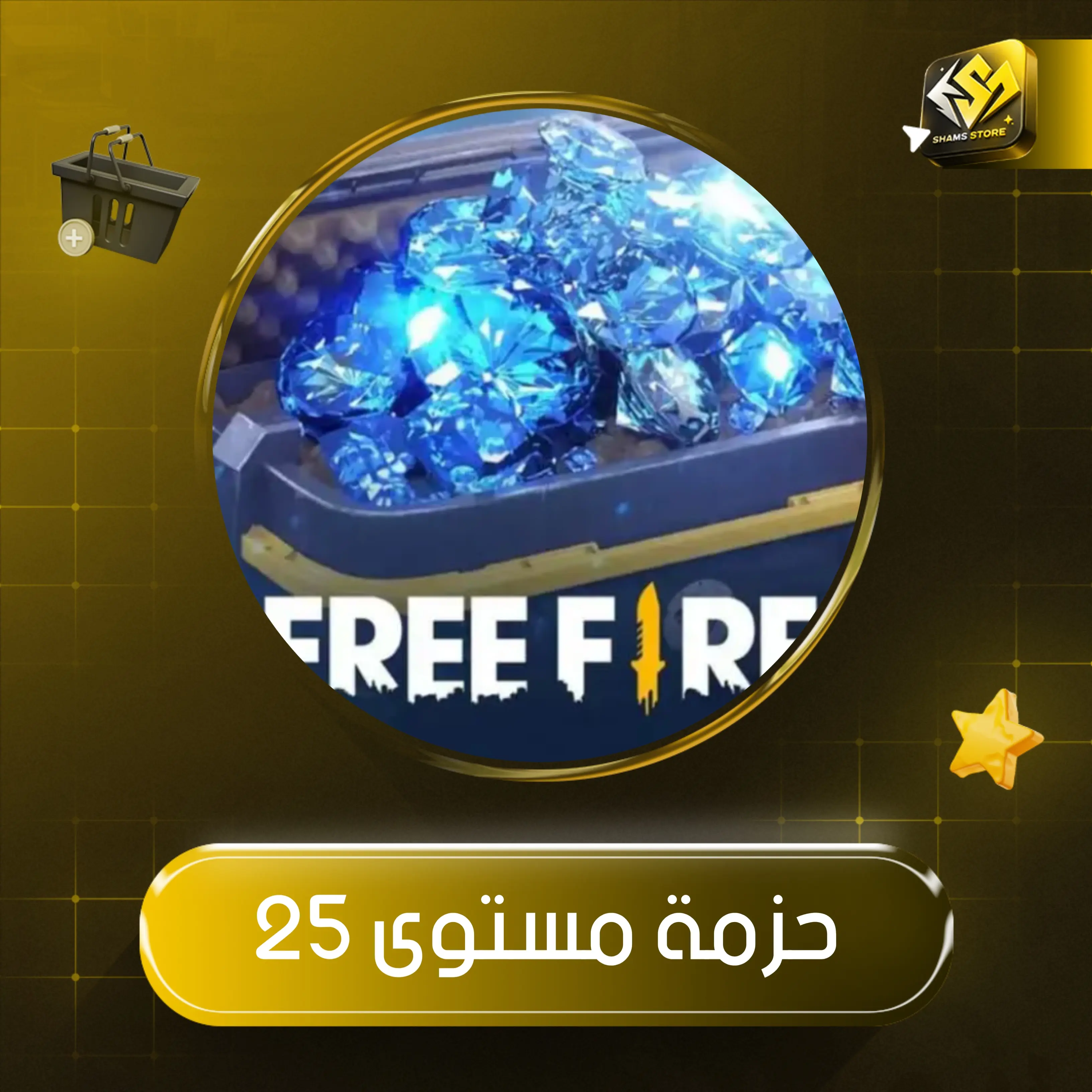 حزمة المستوى 25