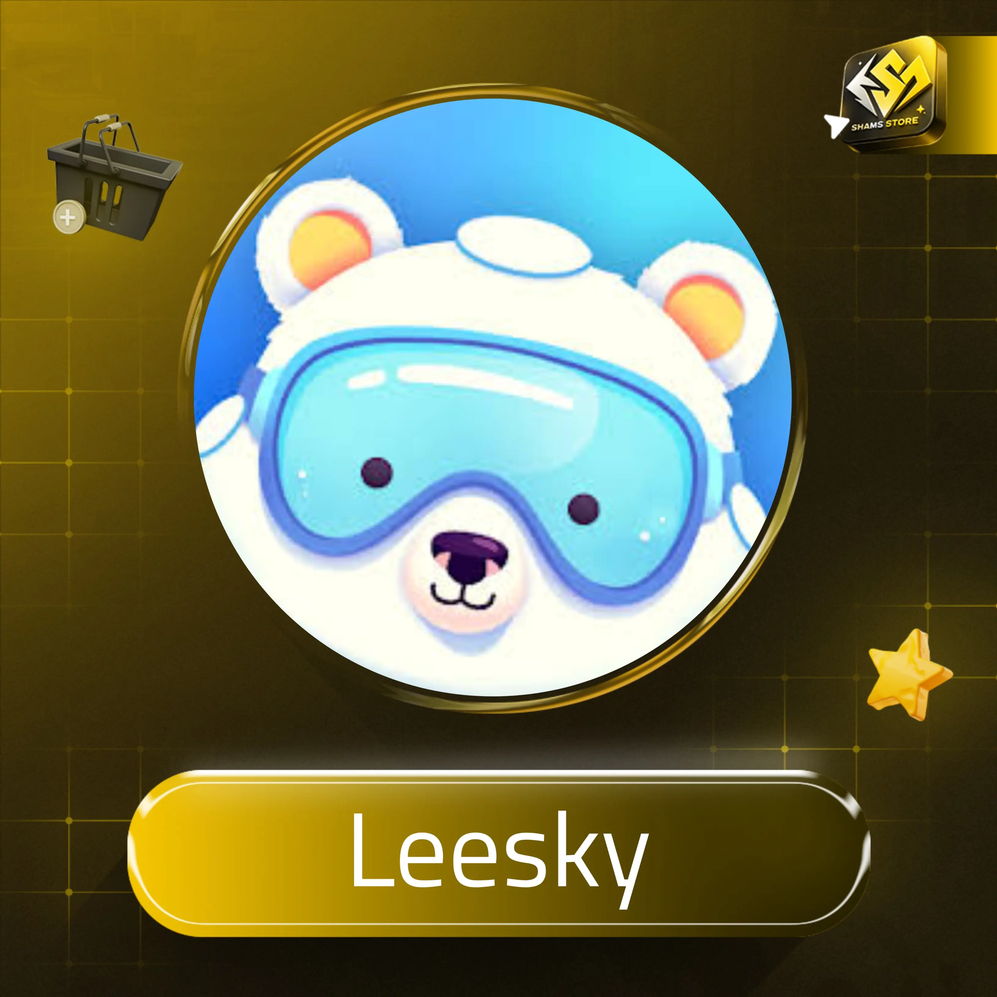 Leesky سيرفر 2