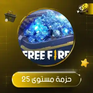 حزمة المستوى 25